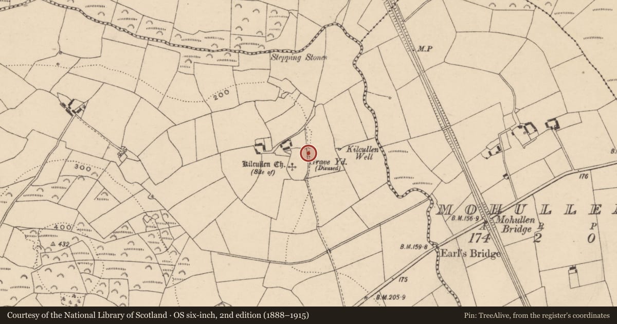 Ordnance Survey six-inch map, 2nd edition (1888–1915) covering the location of Rock art, Tinnacarrig, County Carlow, with a pin at the register's coordinates