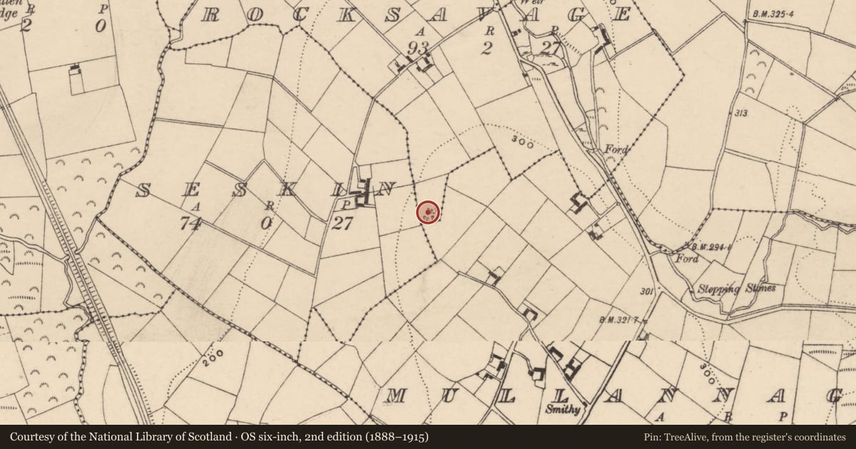 Ordnance Survey six-inch map, 2nd edition (1888–1915) covering the location of Ringfort - rath, Rocksavage, County Carlow, with a pin at the register's coordinates