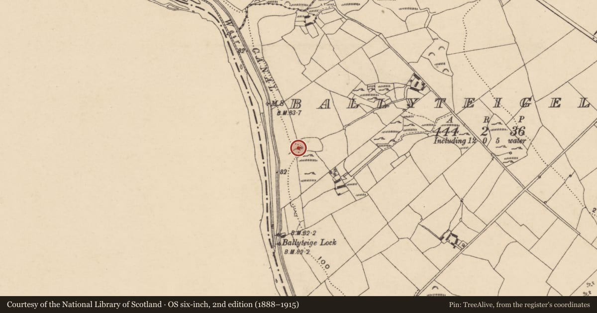 Ordnance Survey six-inch map, 2nd edition (1888–1915) covering the location of Mass-rock, Ballyteigelea, County Carlow, with a pin at the register's coordinates