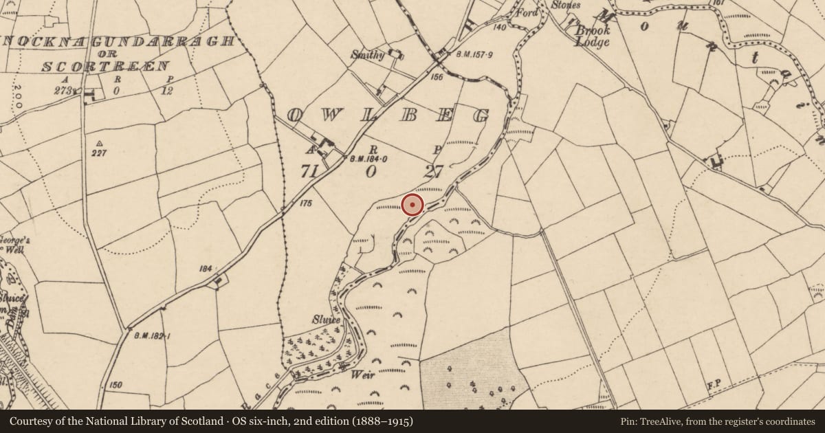 Ordnance Survey six-inch map, 2nd edition (1888–1915) covering the location of Ritual site - holy well, Owlbeg, County Carlow, with a pin at the register's coordinates