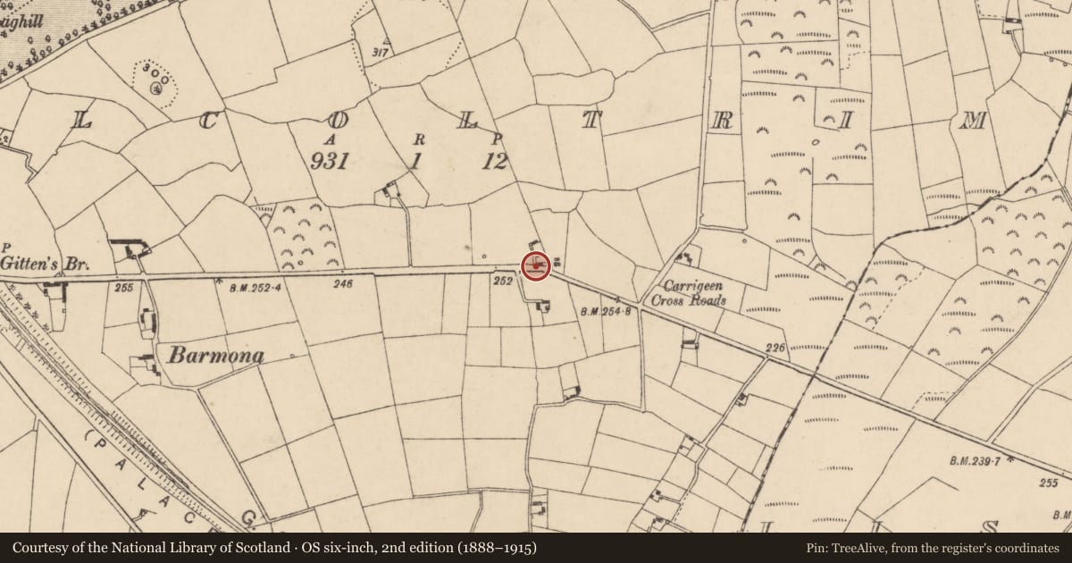 Ordnance Survey six-inch map, 2nd edition (1888–1915) covering the location of Graveslab (present location), Kilcoltrim, County Carlow, with a pin at the register's coordinates