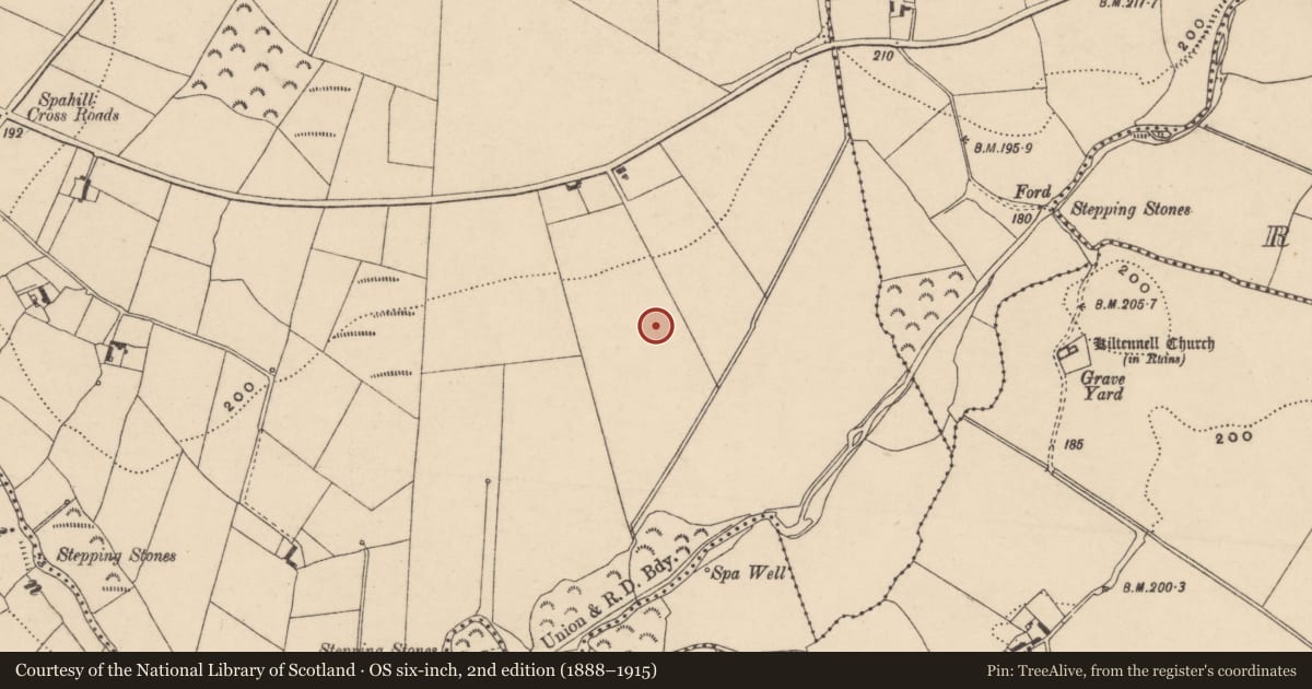 Ordnance Survey six-inch map, 2nd edition (1888–1915) covering the location of Rock art, Spahill, County Carlow, with a pin at the register's coordinates