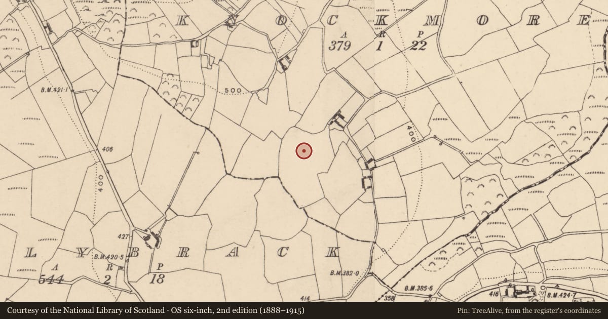 Ordnance Survey six-inch map, 2nd edition (1888–1915) covering the location of Rock art, Knockmore, County Carlow, with a pin at the register's coordinates