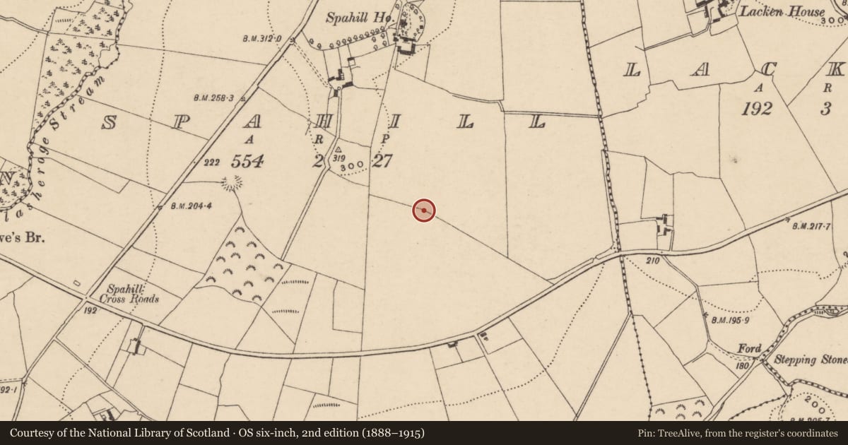 Ordnance Survey six-inch map, 2nd edition (1888–1915) covering the location of Rock art, Spahill, County Carlow, with a pin at the register's coordinates