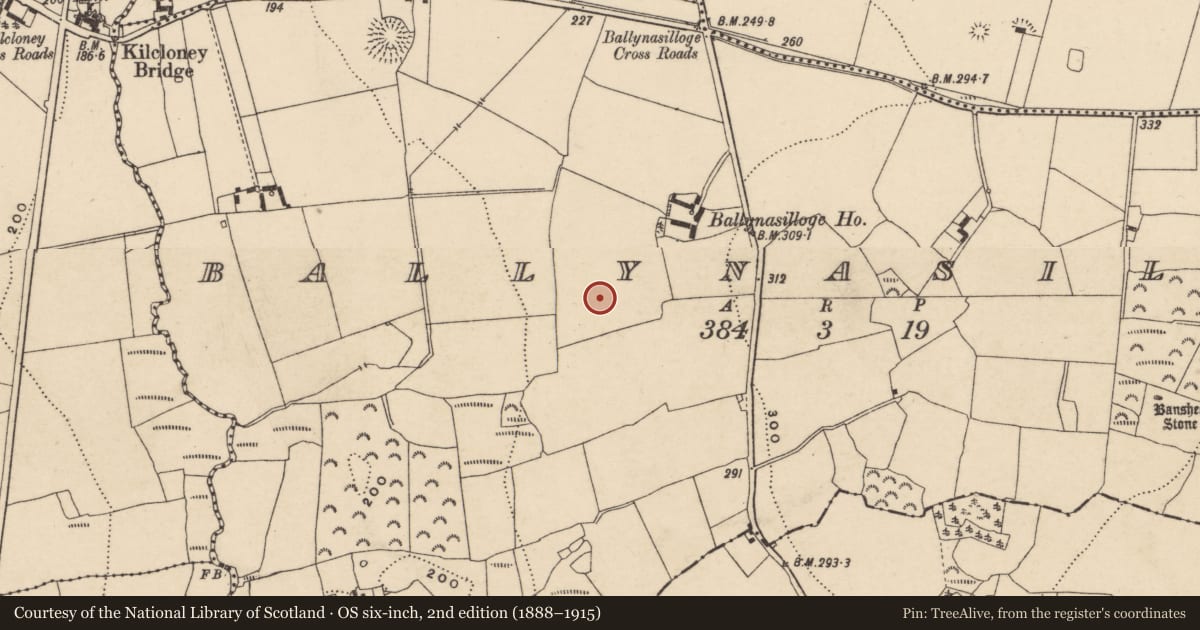 Ordnance Survey six-inch map, 2nd edition (1888–1915) covering the location of Rock art, Ballynasilloge, County Carlow, with a pin at the register's coordinates
