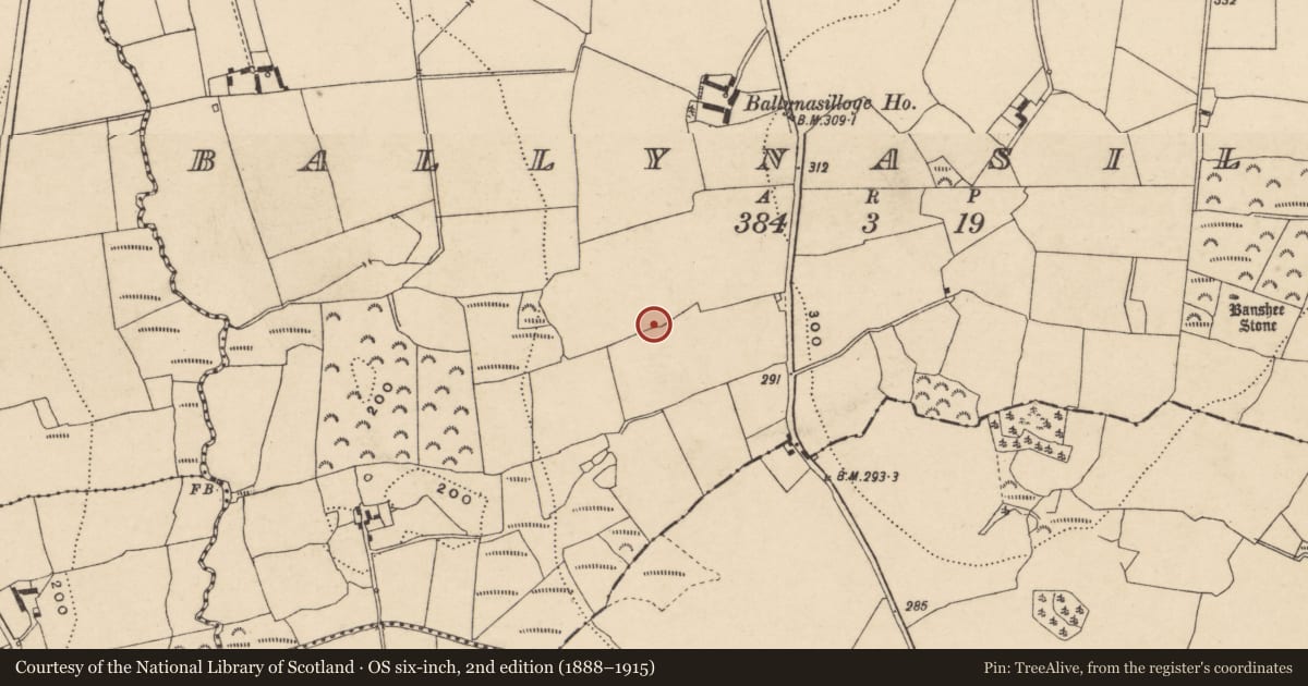 Ordnance Survey six-inch map, 2nd edition (1888–1915) covering the location of Rock art (present location), Ballynasilloge, County Carlow, with a pin at the register's coordinates