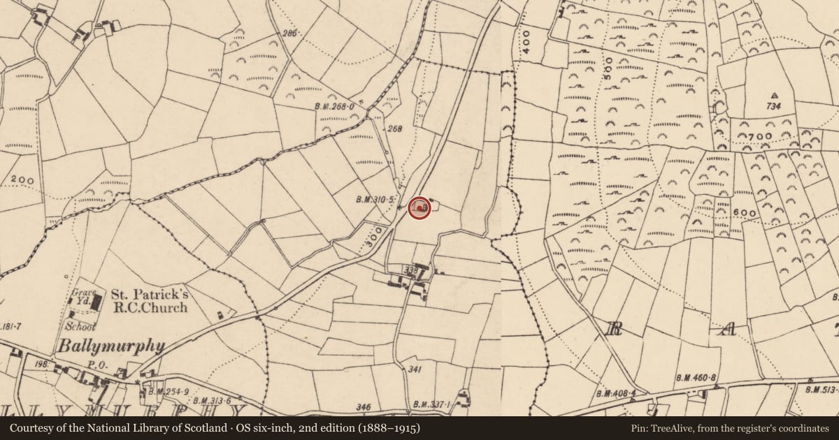 Ordnance Survey six-inch map, 2nd edition (1888–1915) covering the location of Rock art, Kilmissan, County Carlow, with a pin at the register's coordinates