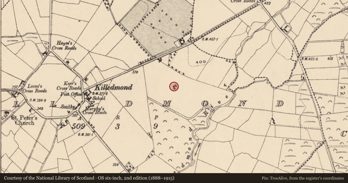Ordnance Survey six-inch map, 2nd edition (1888–1915) covering the location of Enclosure, Killedmond, County Carlow, with a pin at the register's coordinates