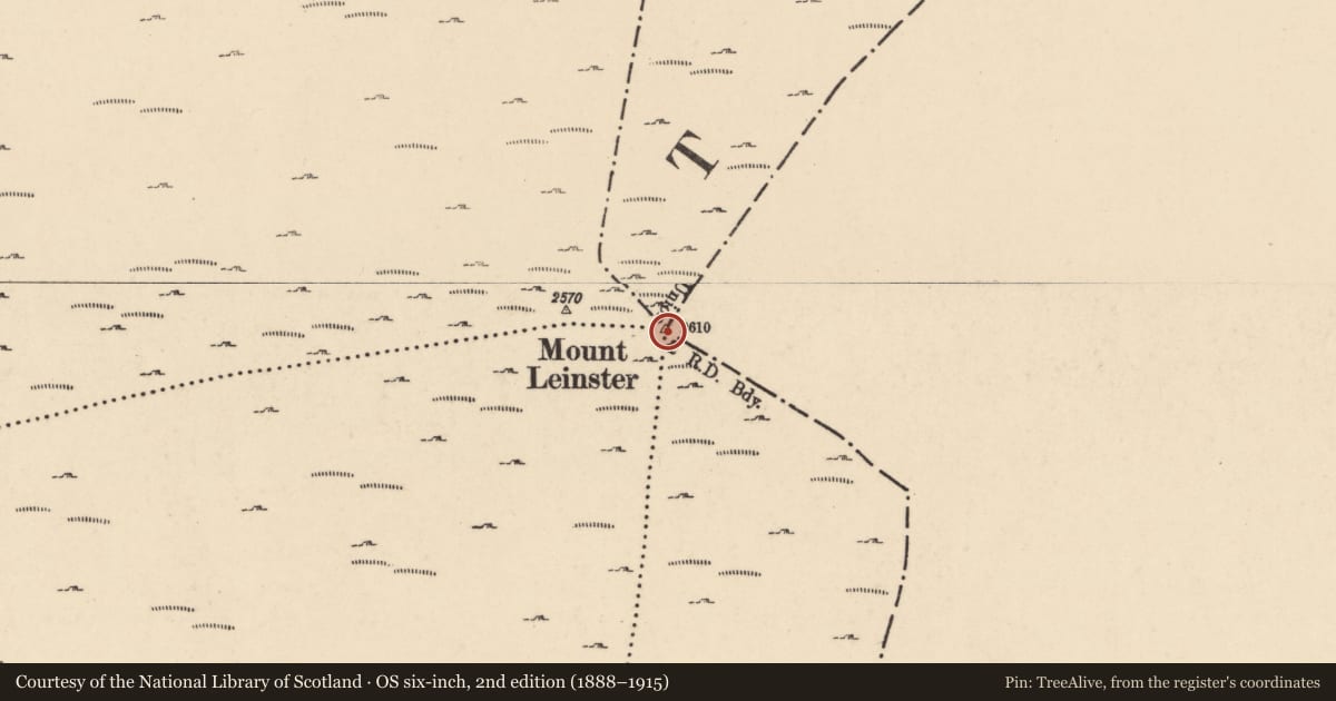 Ordnance Survey six-inch map, 2nd edition (1888–1915) covering the location of Cairn - unclassified, County Carlow, with a pin at the register's coordinates