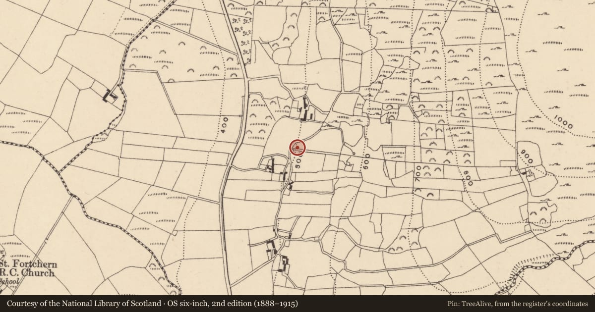 Ordnance Survey six-inch map, 2nd edition (1888–1915) covering the location of Earthwork, Crannagh, County Carlow, with a pin at the register's coordinates