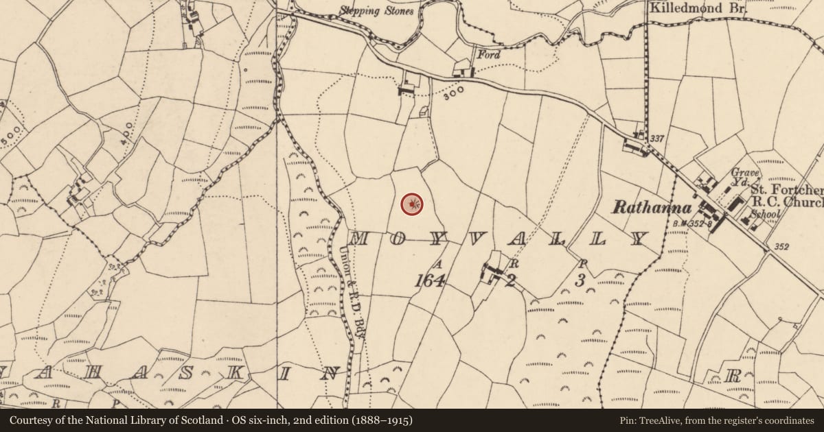 Ordnance Survey six-inch map, 2nd edition (1888–1915) covering the location of Earthwork, Moyvally, County Carlow, with a pin at the register's coordinates