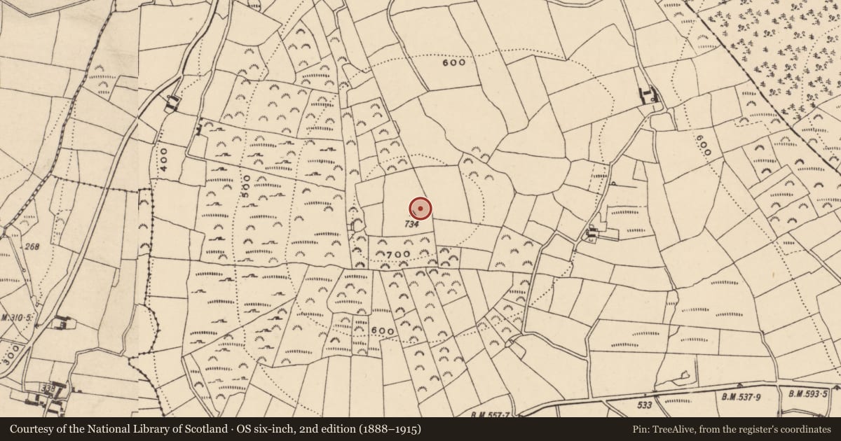 Ordnance Survey six-inch map, 2nd edition (1888–1915) covering the location of Hilltop enclosure, Rathgeran, County Carlow, with a pin at the register's coordinates