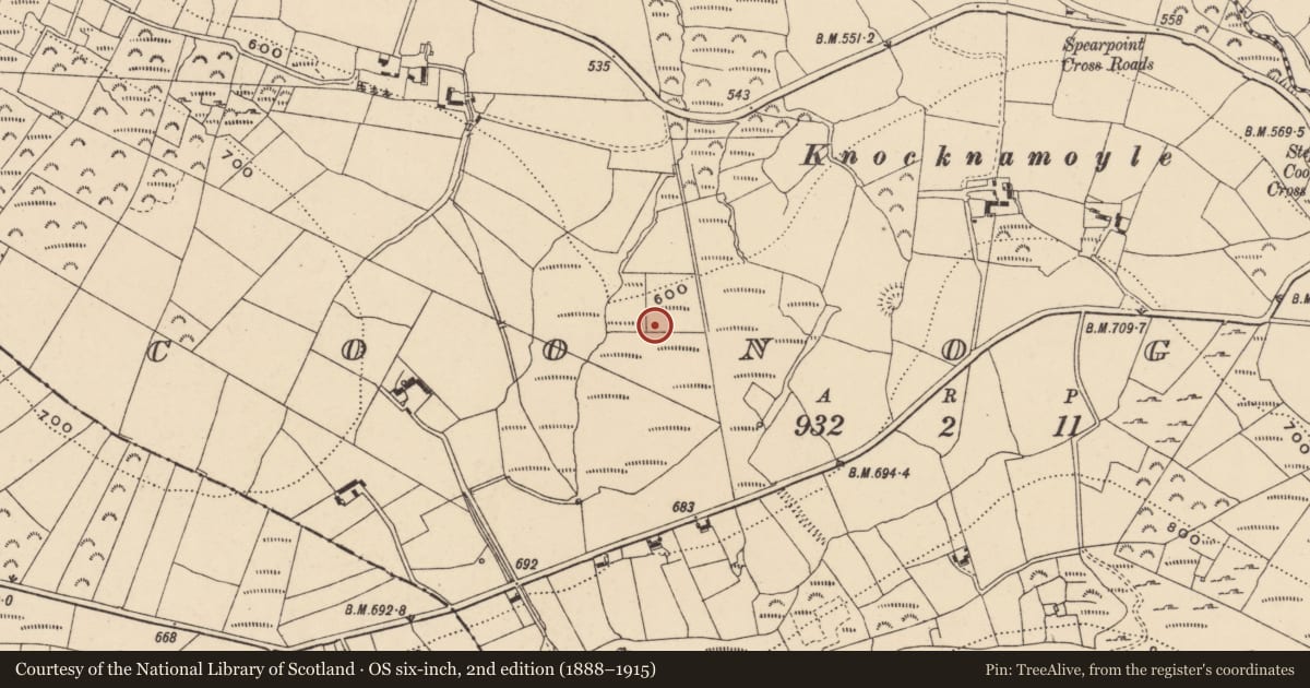 Ordnance Survey six-inch map, 2nd edition (1888–1915) covering the location of Enclosure, Coonogue, County Carlow, with a pin at the register's coordinates