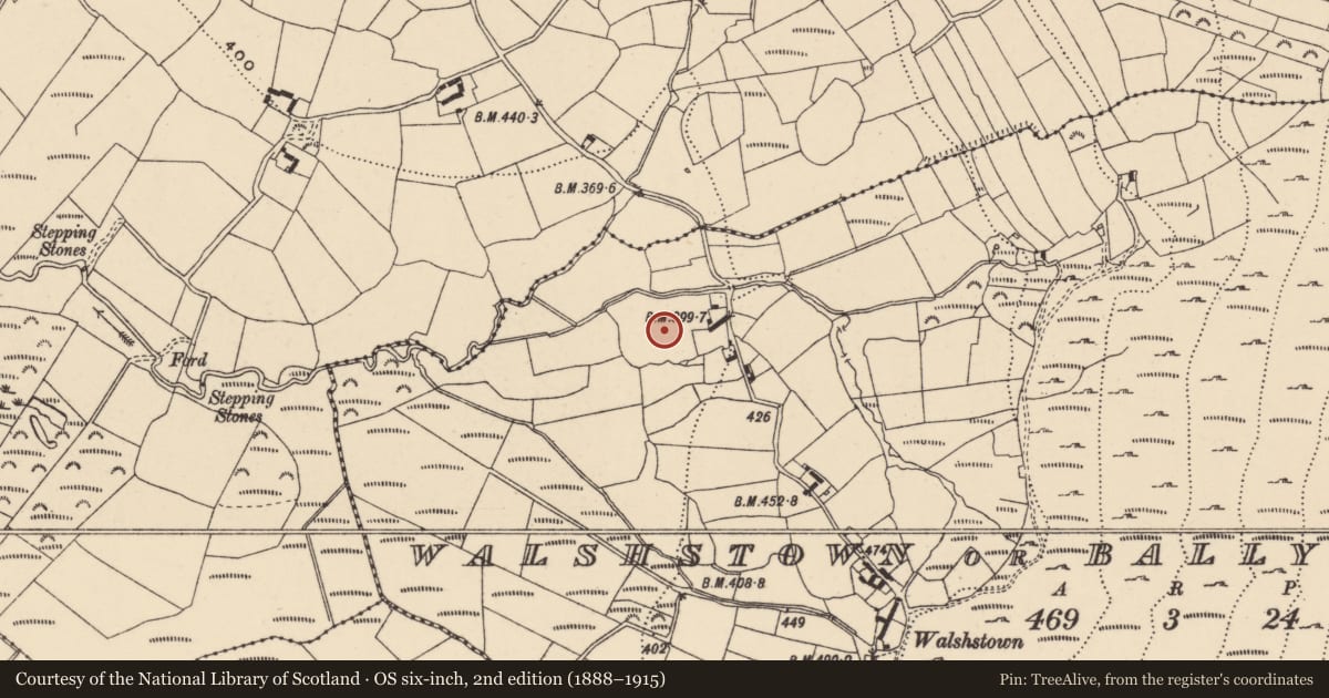 Ordnance Survey six-inch map, 2nd edition (1888–1915) covering the location of Enclosure, Walshstown Or Ballynabranagh, County Carlow, with a pin at the register's coordinates
