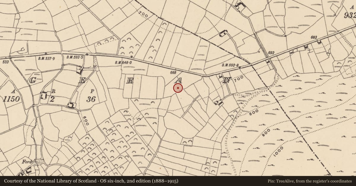 Ordnance Survey six-inch map, 2nd edition (1888–1915) covering the location of Standing stone, Rathgeran, County Carlow, with a pin at the register's coordinates