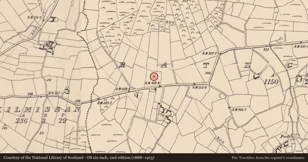 Ordnance Survey six-inch map, 2nd edition (1888–1915) covering the location of Standing stone, Rathgeran, County Carlow, with a pin at the register's coordinates