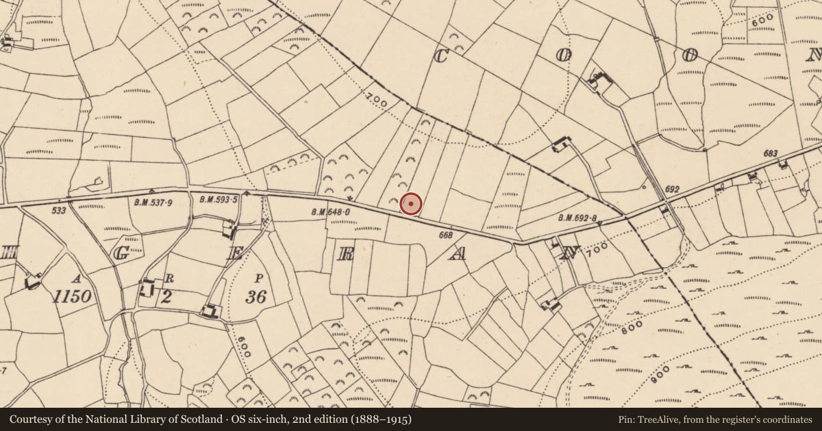 Ordnance Survey six-inch map, 2nd edition (1888–1915) covering the location of Enclosure, Rathgeran, County Carlow, with a pin at the register's coordinates