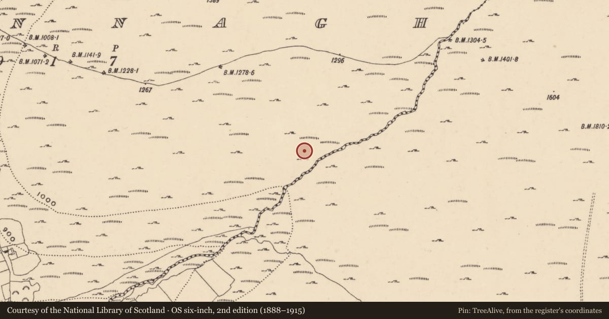 Ordnance Survey six-inch map, 2nd edition (1888–1915) covering the location of Rock art, Crannagh, County Carlow, with a pin at the register's coordinates