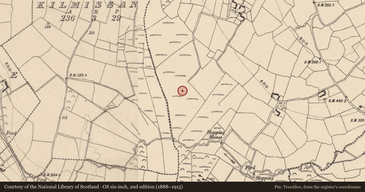 Ordnance Survey six-inch map, 2nd edition (1888–1915) covering the location of Standing stone, Rathgeran, County Carlow, with a pin at the register's coordinates