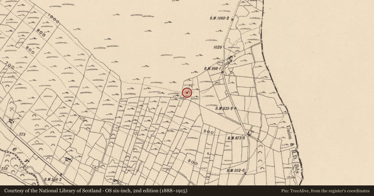 Ordnance Survey six-inch map, 2nd edition (1888–1915) covering the location of Field system, Knockroe, County Carlow, with a pin at the register's coordinates