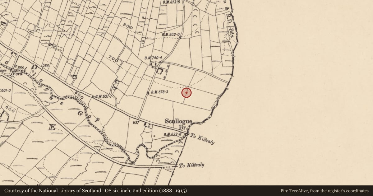 Ordnance Survey six-inch map, 2nd edition (1888–1915) covering the location of Rock art (present location), Knockroe, County Carlow, with a pin at the register's coordinates