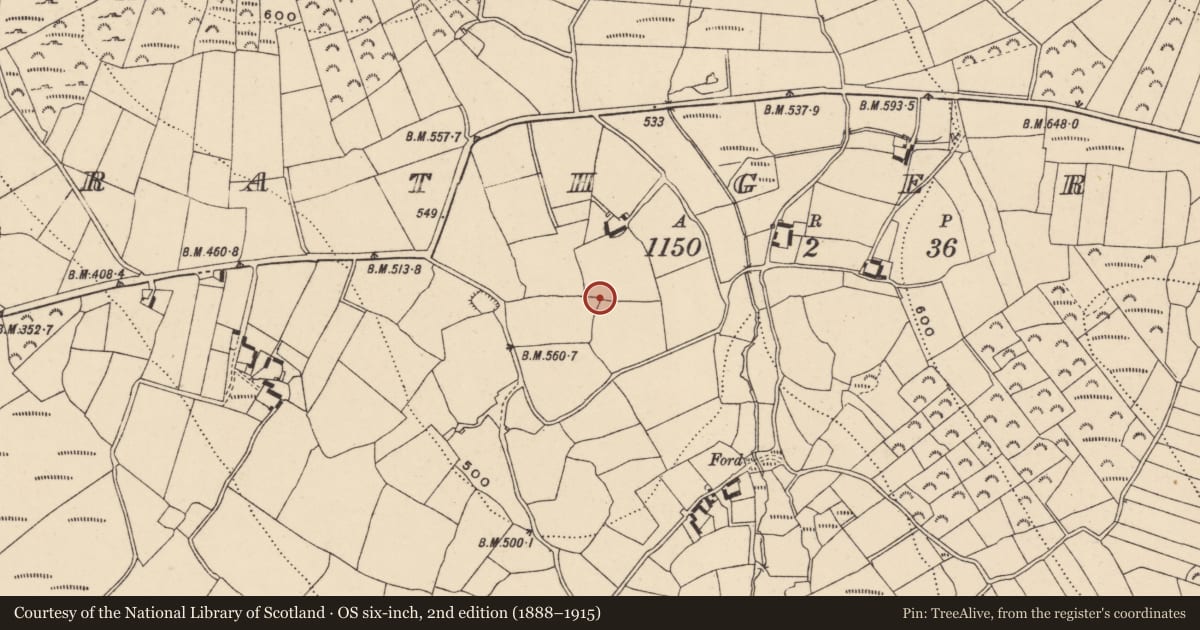 Ordnance Survey six-inch map, 2nd edition (1888–1915) covering the location of Rock art (present location), Rathgeran, County Carlow, with a pin at the register's coordinates
