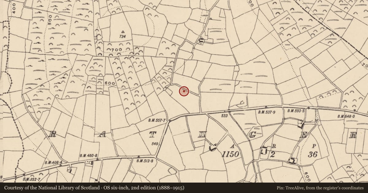 Ordnance Survey six-inch map, 2nd edition (1888–1915) covering the location of Rock art (present location), Rathgeran, County Carlow, with a pin at the register's coordinates