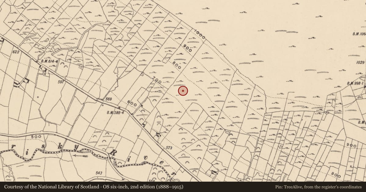 Ordnance Survey six-inch map, 2nd edition (1888–1915) covering the location of Charcoal-making site, Knockroe, County Carlow, with a pin at the register's coordinates