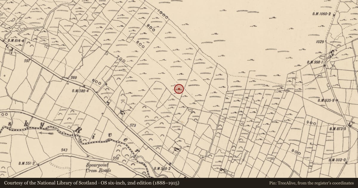 Ordnance Survey six-inch map, 2nd edition (1888–1915) covering the location of Charcoal-making site, Knockroe, County Carlow, with a pin at the register's coordinates