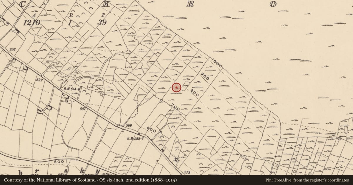 Ordnance Survey six-inch map, 2nd edition (1888–1915) covering the location of Charcoal-making site, Knockroe, County Carlow, with a pin at the register's coordinates