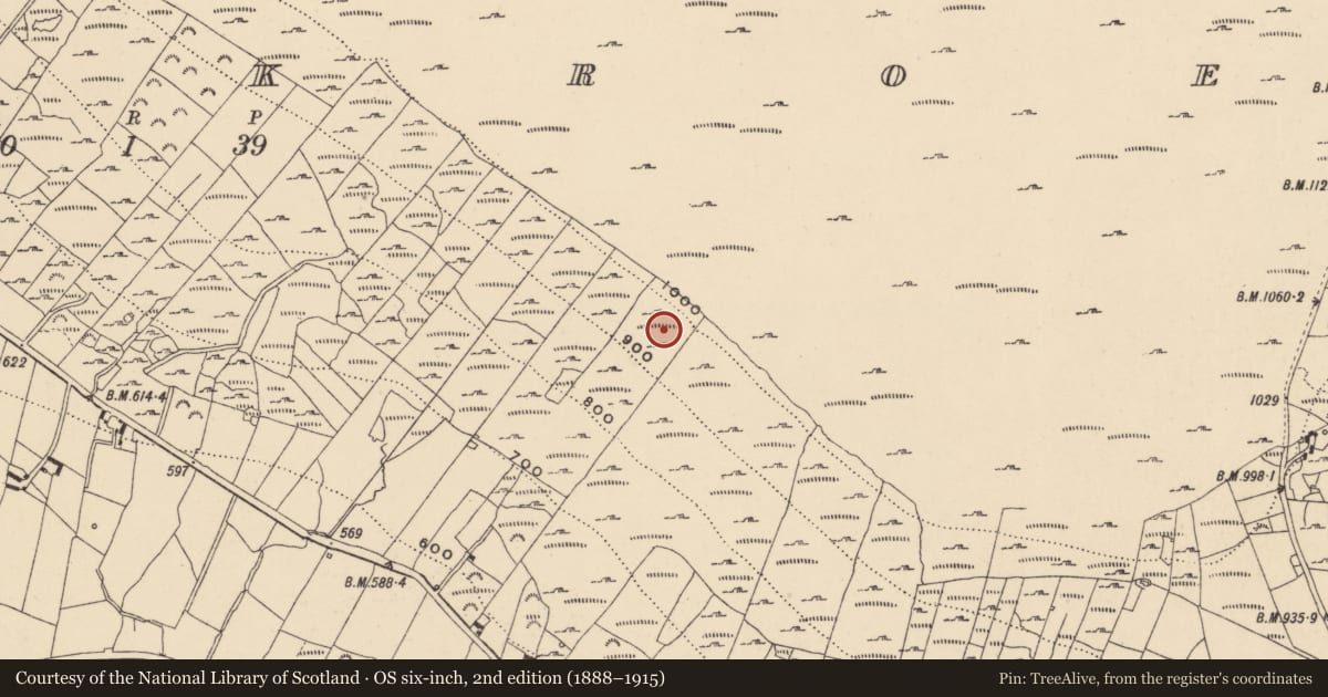 Ordnance Survey six-inch map, 2nd edition (1888–1915) covering the location of Charcoal-making site, Knockroe, County Carlow, with a pin at the register's coordinates