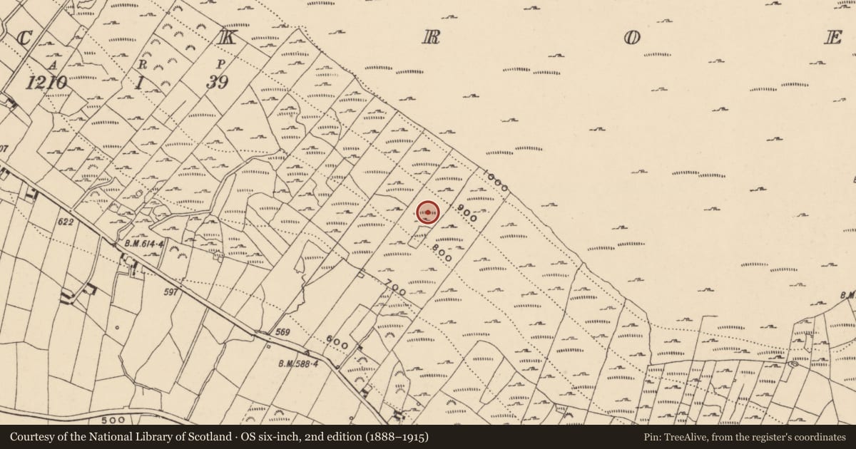 Ordnance Survey six-inch map, 2nd edition (1888–1915) covering the location of Building, Knockroe, County Carlow, with a pin at the register's coordinates