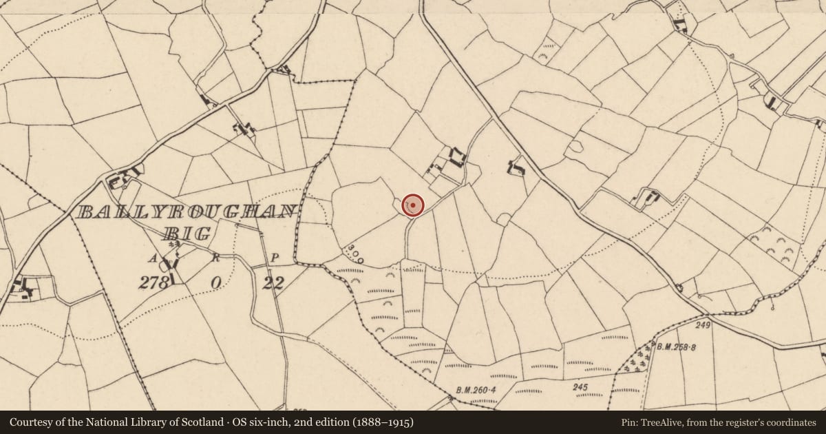 Ordnance Survey six-inch map, 2nd edition (1888–1915) covering the location of Earthwork, Tinnacarrig, County Carlow, with a pin at the register's coordinates