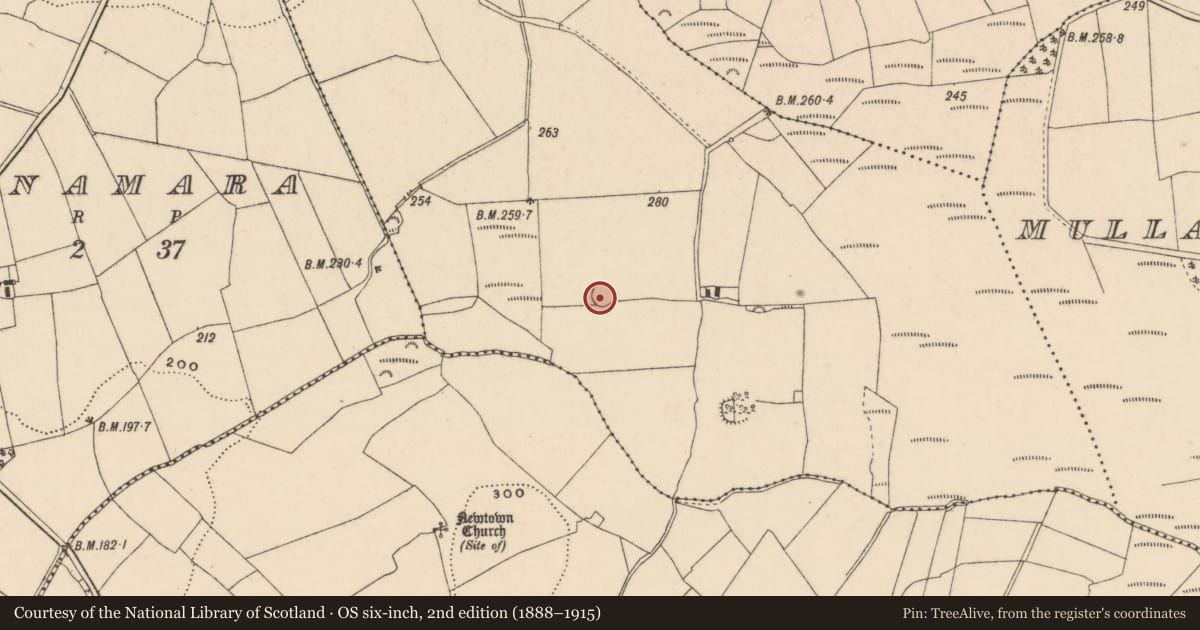 Ordnance Survey six-inch map, 2nd edition (1888–1915) covering the location of Ringfort - rath, Ballyroughan Big, County Carlow, with a pin at the register's coordinates