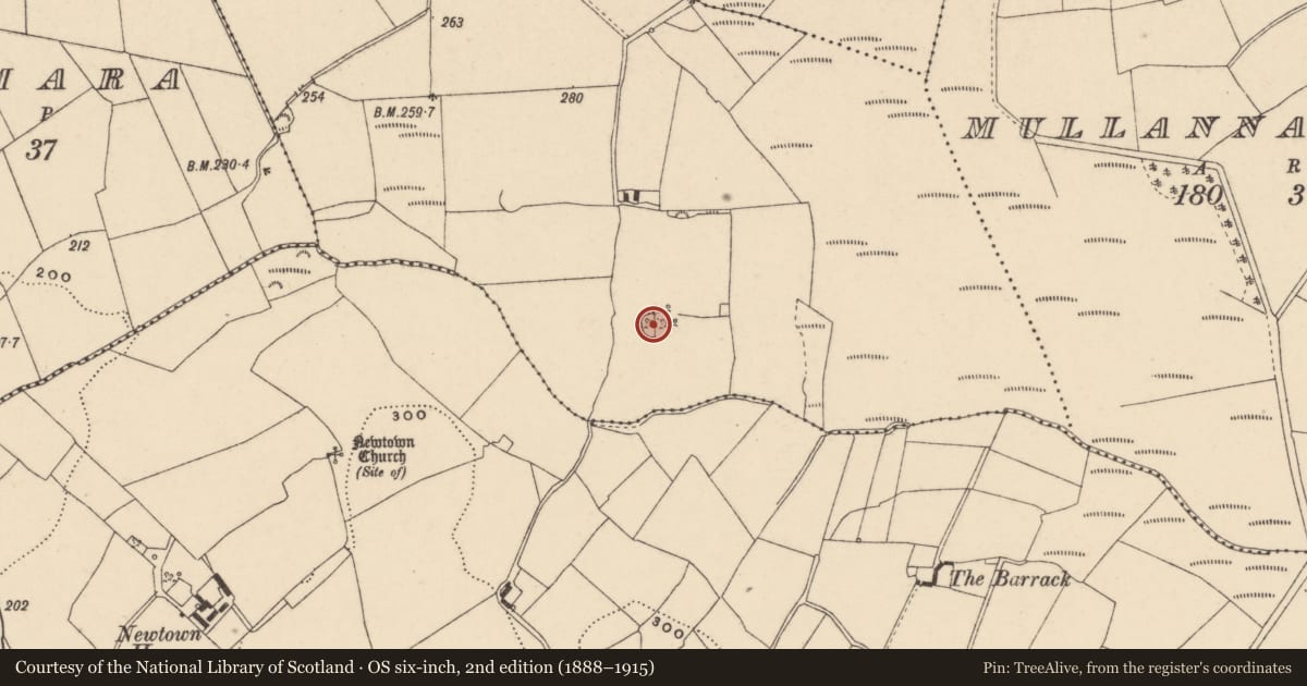 Ordnance Survey six-inch map, 2nd edition (1888–1915) covering the location of Ringfort - rath, Ballyroughan Big, County Carlow, with a pin at the register's coordinates