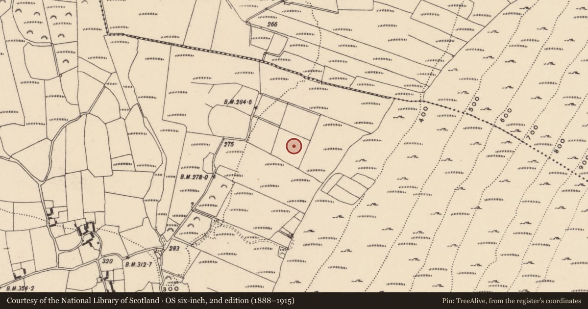 Ordnance Survey six-inch map, 2nd edition (1888–1915) covering the location of Enclosure, Ballycrinnigan, County Carlow, with a pin at the register's coordinates