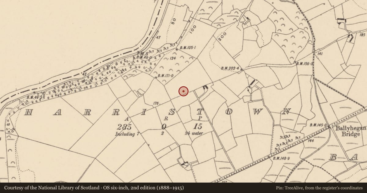 Ordnance Survey six-inch map, 2nd edition (1888–1915) covering the location of Earthwork, Harristown, County Carlow, with a pin at the register's coordinates