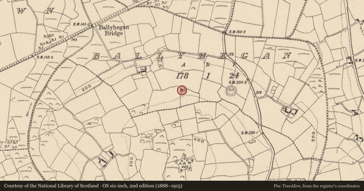 Ordnance Survey six-inch map, 2nd edition (1888–1915) covering the location of Ringfort - cashel, Ballyhegan, County Carlow, with a pin at the register's coordinates