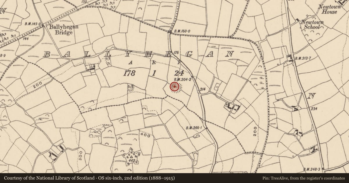 Ordnance Survey six-inch map, 2nd edition (1888–1915) covering the location of Ringfort - rath, Ballyhegan, County Carlow, with a pin at the register's coordinates