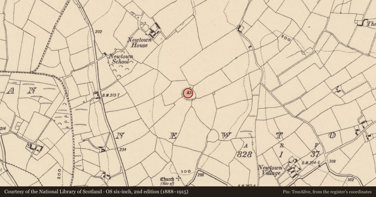 Ordnance Survey six-inch map, 2nd edition (1888–1915) covering the location of Ringfort - rath, Newtown, County Carlow, with a pin at the register's coordinates