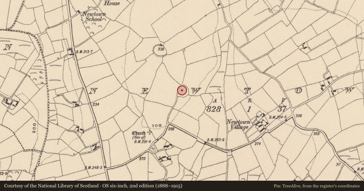Ordnance Survey six-inch map, 2nd edition (1888–1915) covering the location of Ringfort - rath, Newtown, County Carlow, with a pin at the register's coordinates