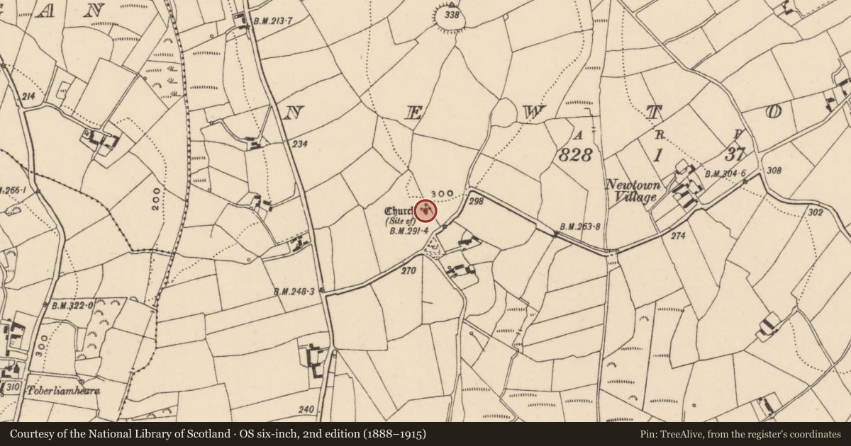 Ordnance Survey six-inch map, 2nd edition (1888–1915) covering the location of Church, Newtown, County Carlow, with a pin at the register's coordinates