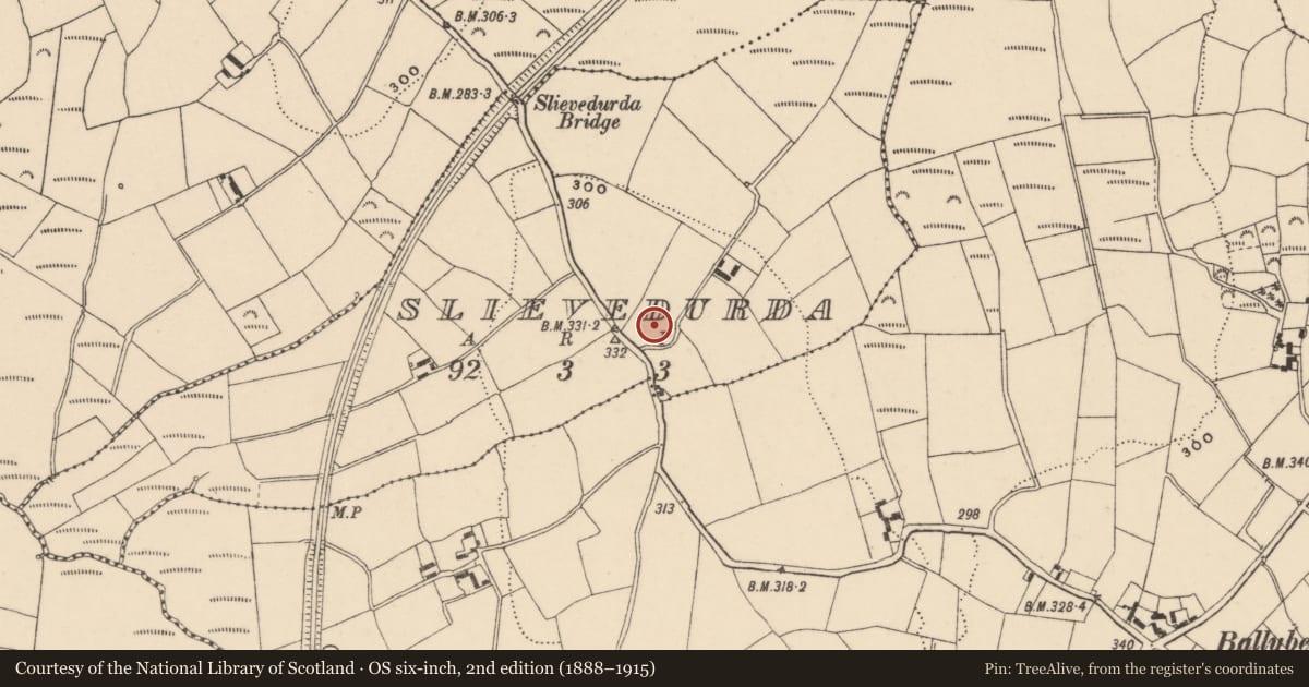 Ordnance Survey six-inch map, 2nd edition (1888–1915) covering the location of Ringfort - rath, Slievedurda, County Carlow, with a pin at the register's coordinates