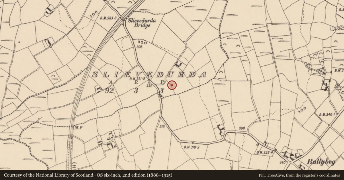 Ordnance Survey six-inch map, 2nd edition (1888–1915) covering the location of Enclosure, Slievedurda, County Carlow, with a pin at the register's coordinates