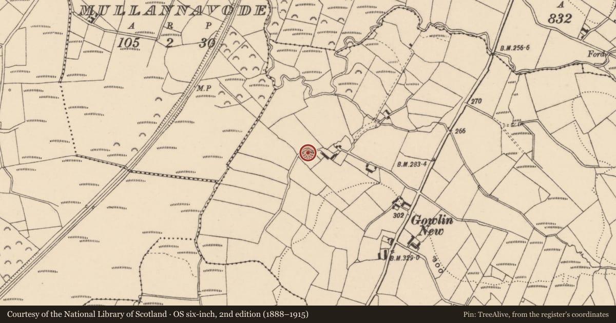 Ordnance Survey six-inch map, 2nd edition (1888–1915) covering the location of Ringfort - rath, Gowlin, County Carlow, with a pin at the register's coordinates