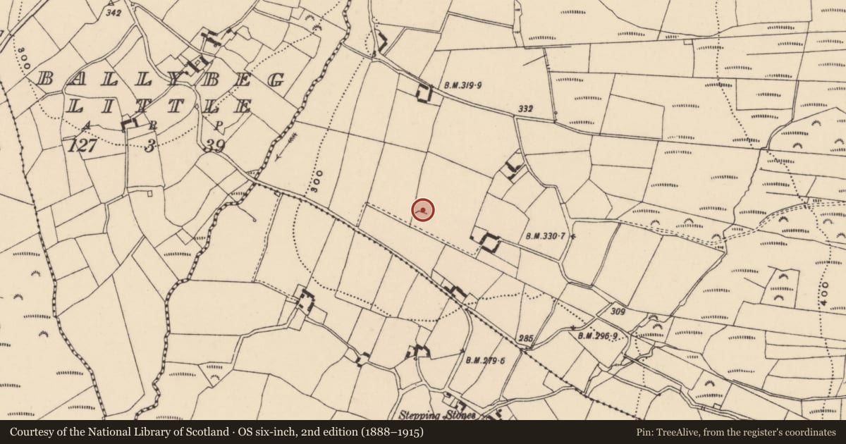 Ordnance Survey six-inch map, 2nd edition (1888–1915) covering the location of Enclosure, Ballybeg Big, County Carlow, with a pin at the register's coordinates