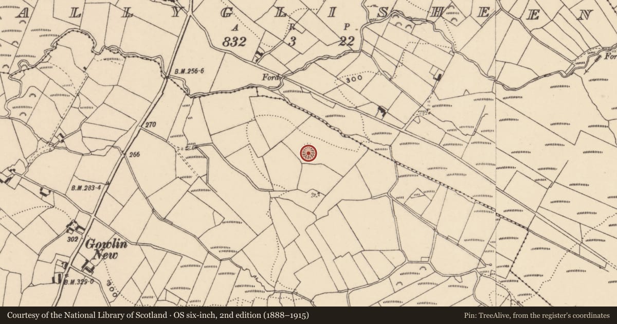 Ordnance Survey six-inch map, 2nd edition (1888–1915) covering the location of Ringfort - rath, Gowlin, County Carlow, with a pin at the register's coordinates