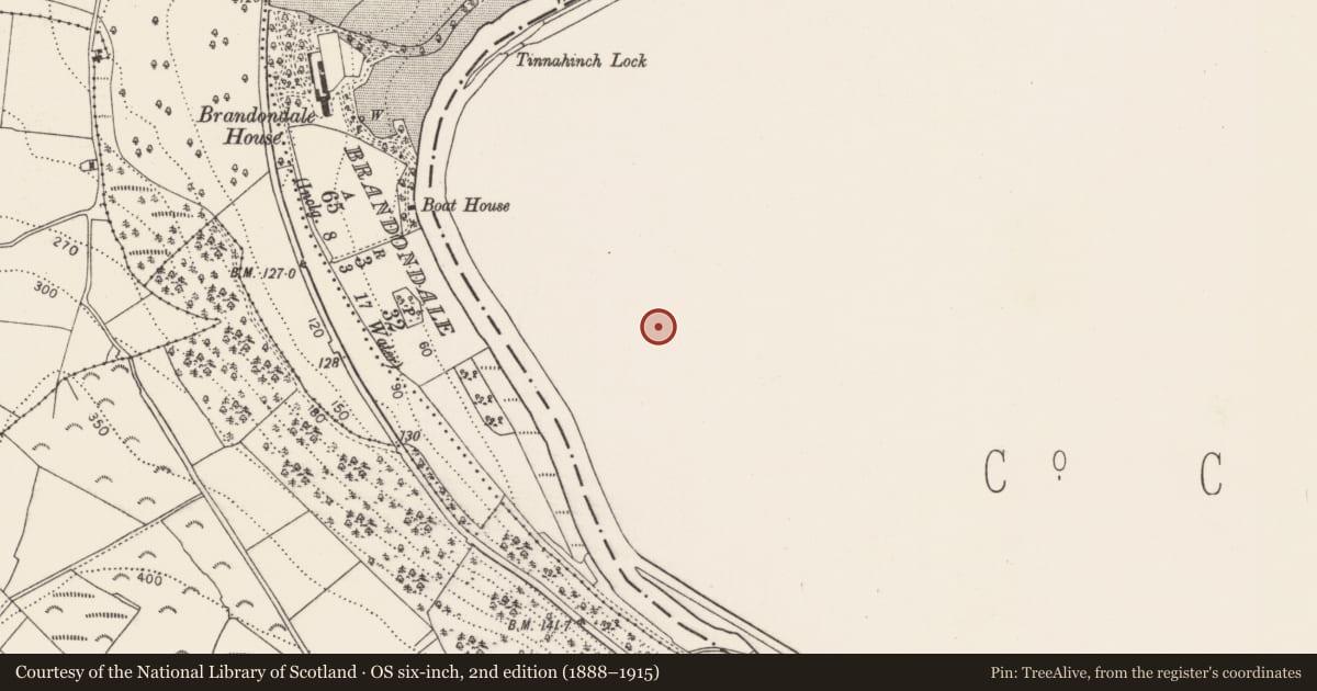 Ordnance Survey six-inch map, 2nd edition (1888–1915) covering the location of Church, Tinnahinch, County Carlow, with a pin at the register's coordinates