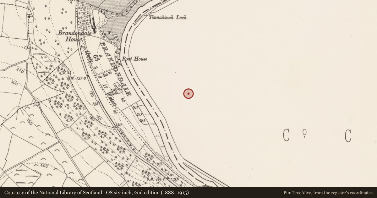 Ordnance Survey six-inch map, 2nd edition (1888–1915) covering the location of Graveyard, Tinnahinch, County Carlow, with a pin at the register's coordinates