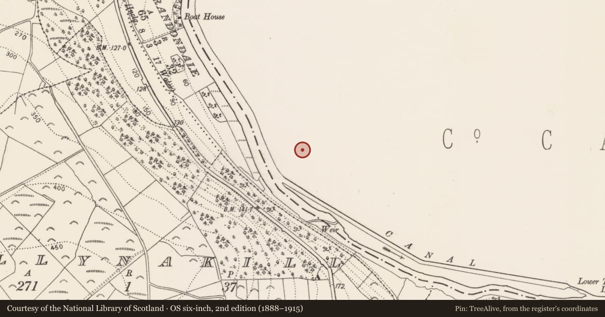 Ordnance Survey six-inch map, 2nd edition (1888–1915) covering the location of Ritual site - holy well, Tinnahinch, County Carlow, with a pin at the register's coordinates